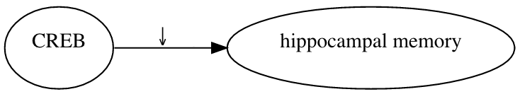 A relation between CREB and hippocampal memory