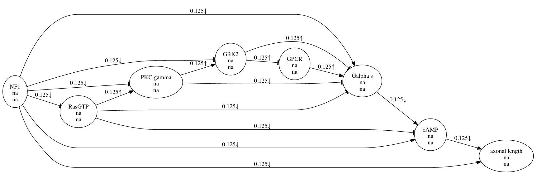 An NF1 cascade