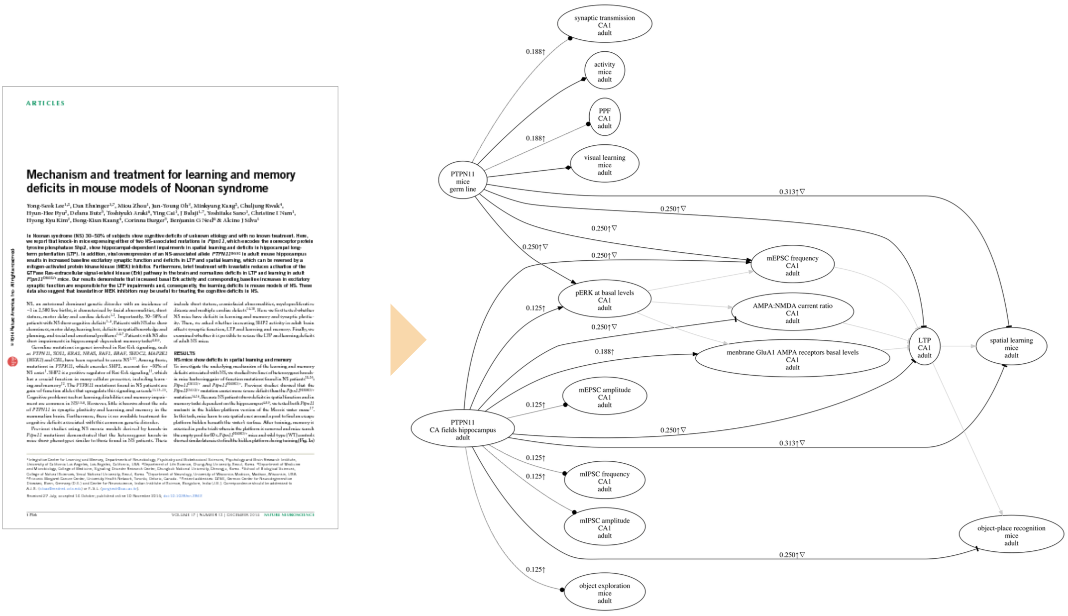 Representing an article as a causal graph